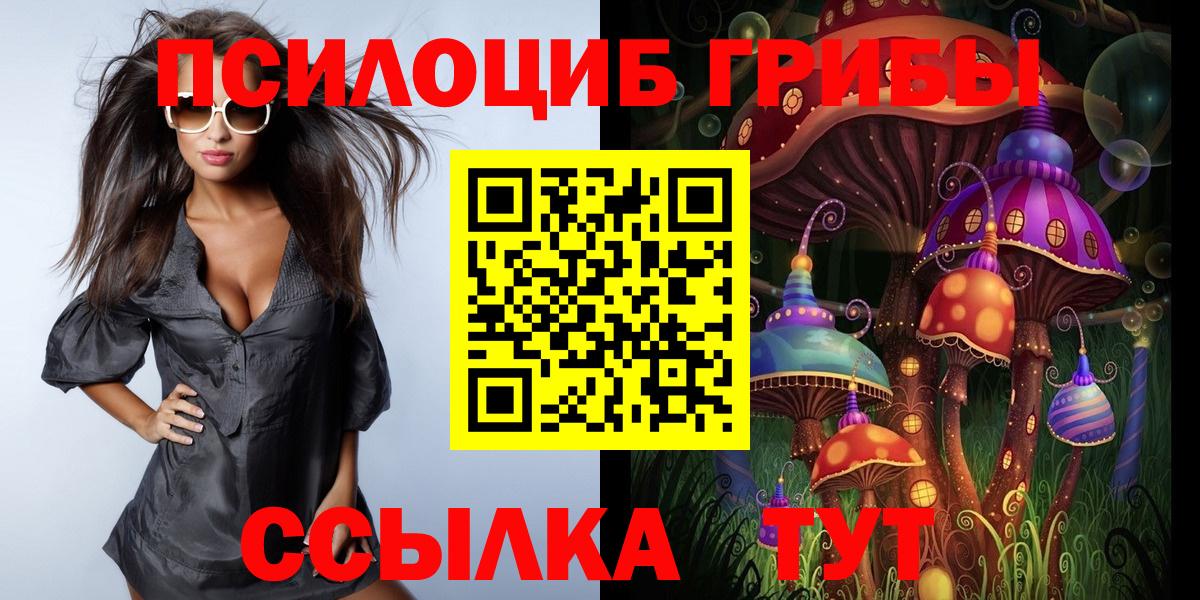 Псилоцибиновые грибы мицелий Кандалакша